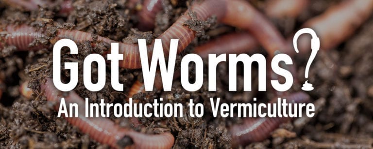 Vermicomposting & Vermiculture Introduction