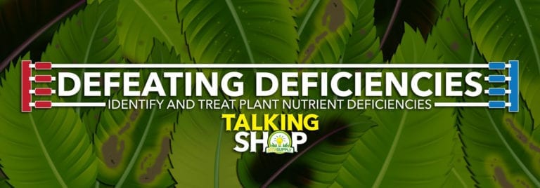 Identify Plant Nutrient Deficiencies and Treatments