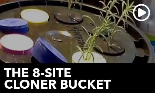 Htg Info Center Ask The Doc 8 Site Cloner Bucket Thumbnail