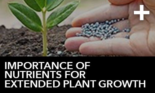 htg-info-center-ask-the-doc-articles-importance-of-nutrients-for-extended-plant-growth-thumbnail