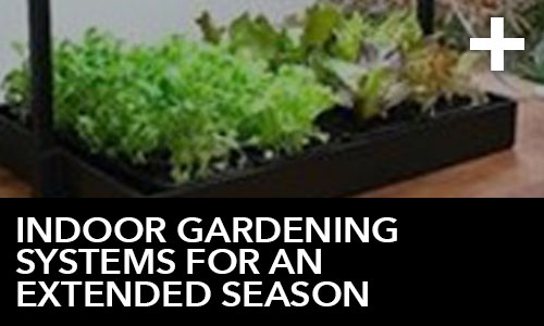 Indoor Gardening Systems for an Extended Season