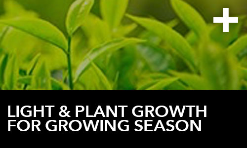 Light & Plant Growth for Growing Season