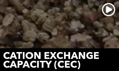 Cation Exchange Capacity!