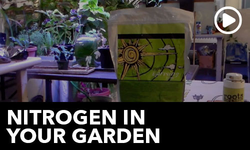 Nitrogen in your Garden