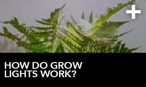 htg-info-center-ask-the-doc-videos-how-do-grow-lights-work-thumbnail