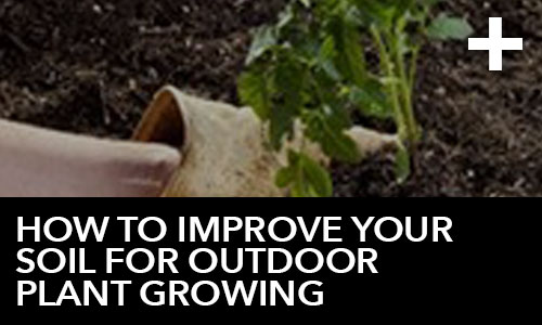 How to Improve Your Soil for Outdoor Plant Growing