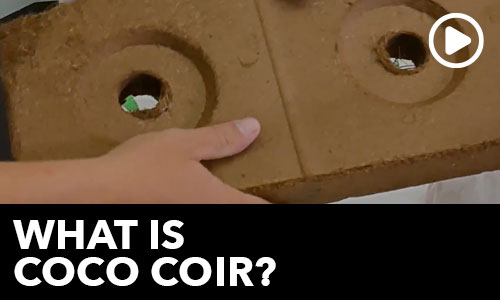 What Is Coco Coir (And How Do I Use It?)