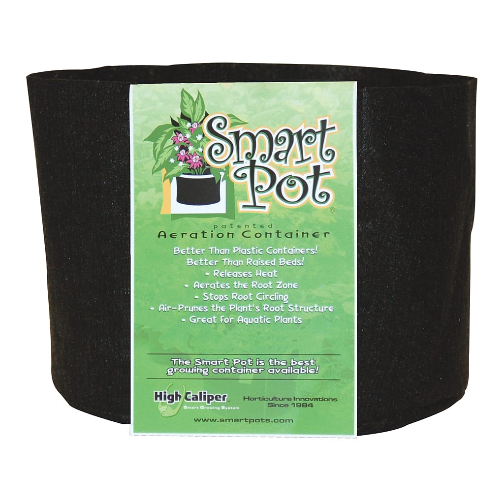 Smart Planting in Fabric Pots
