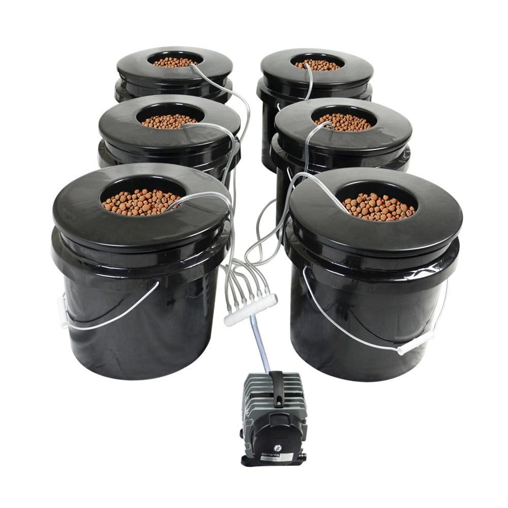 6 Bucket Dwc Hydroponics System Bubble Brothers