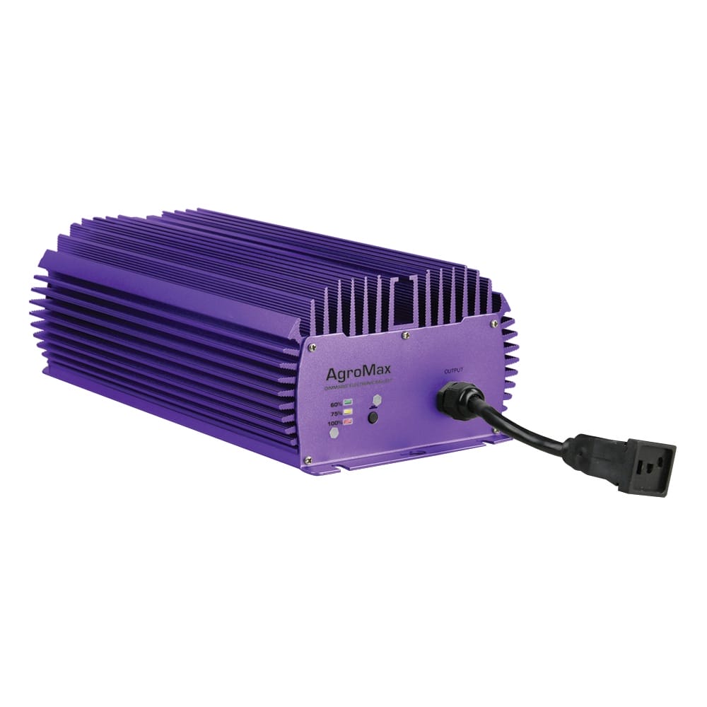 1000 watt online digital ballast