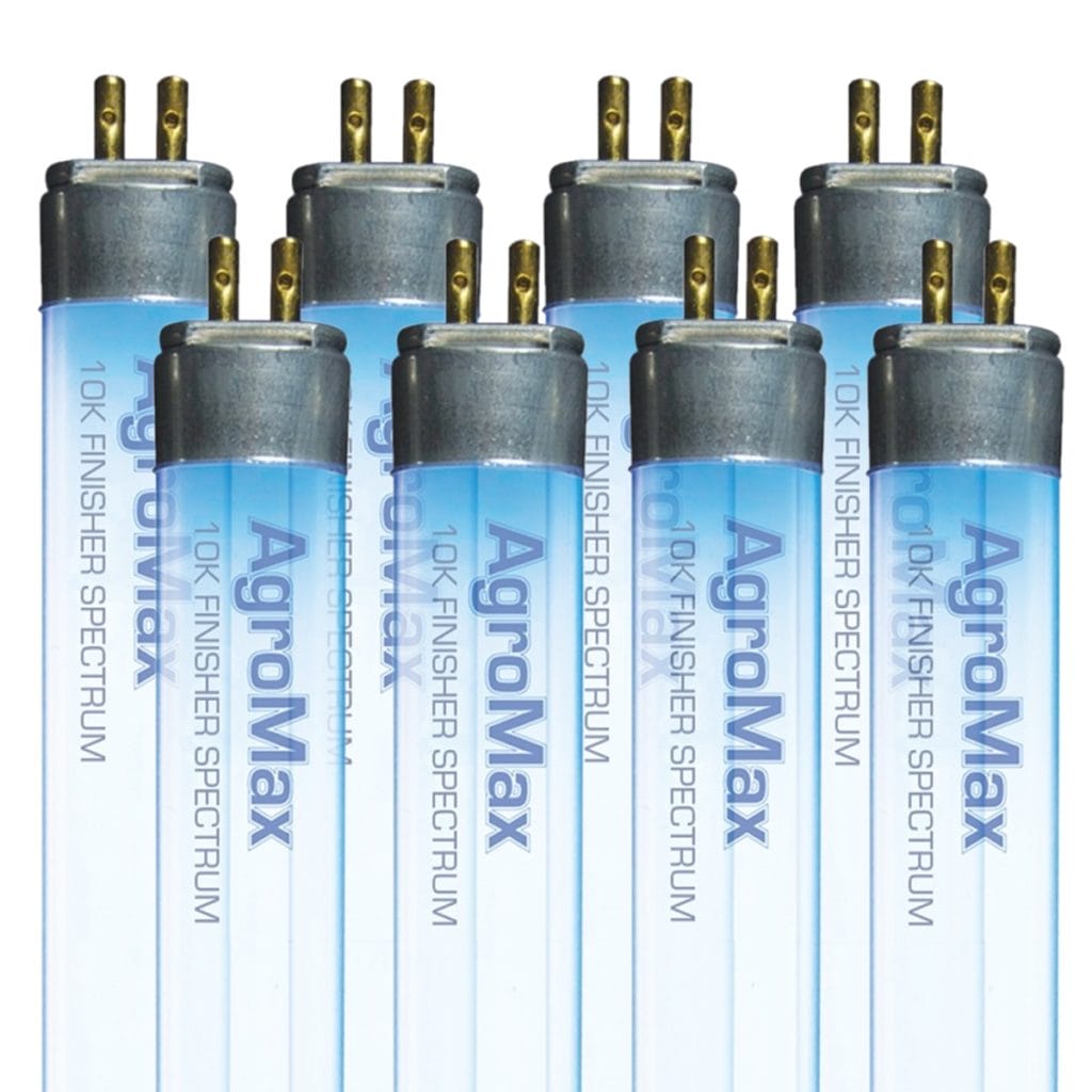 Agromax Grow Light T5 Finisher Bulb 2 Ft 10K 8 Pack