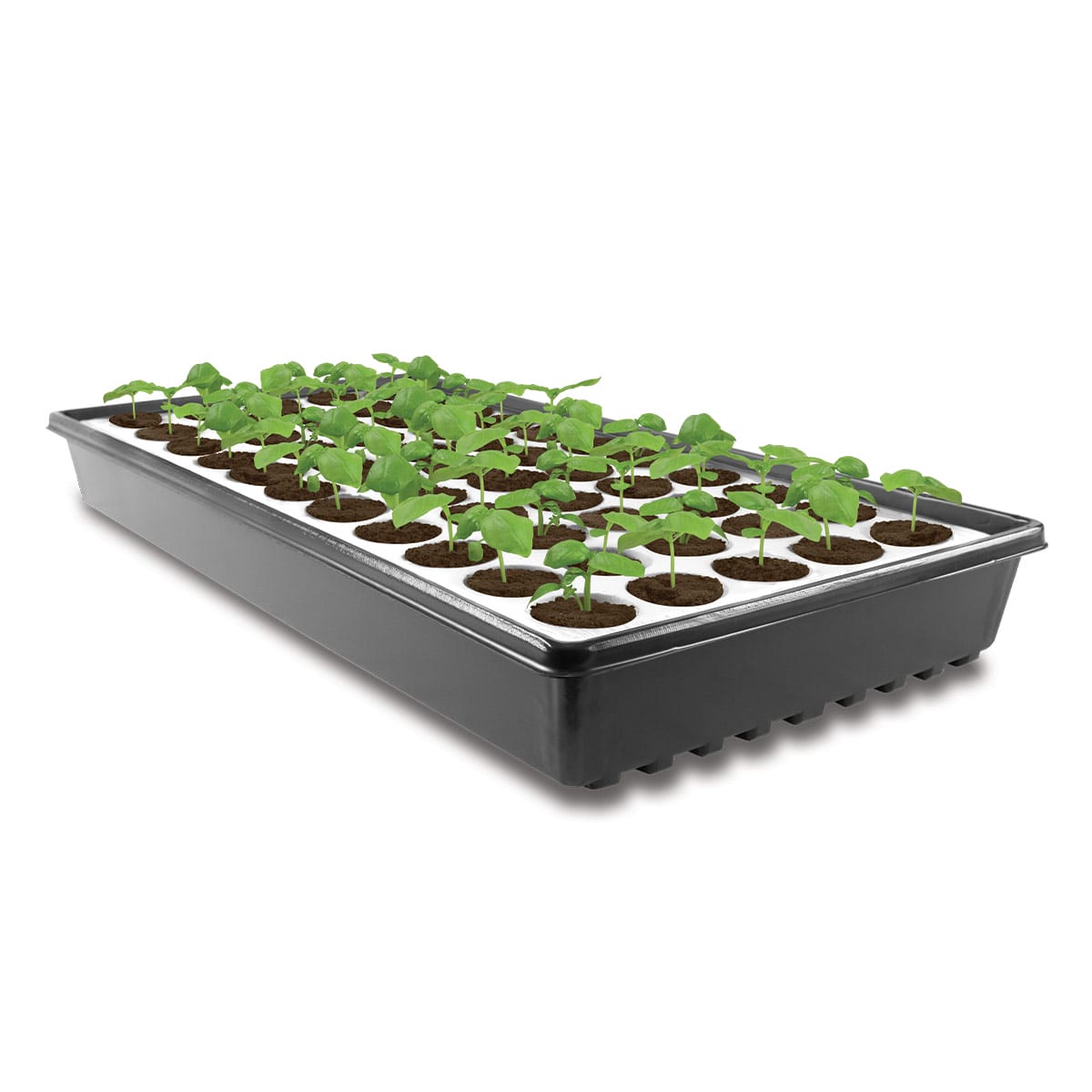 Terracotta Plant and Seed Starter Tray - 10 Cell