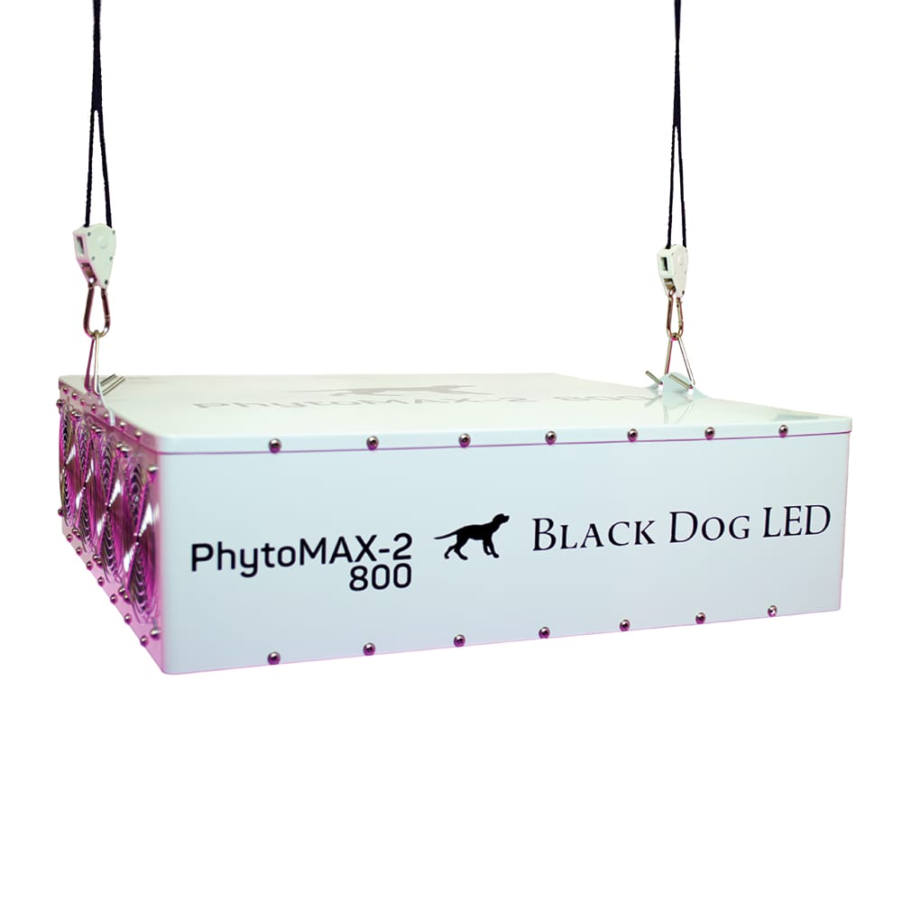 Black Dog Phytomax 2 800 Watt Led Grow Light Fixture