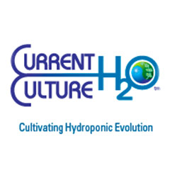 Current Culture H2O