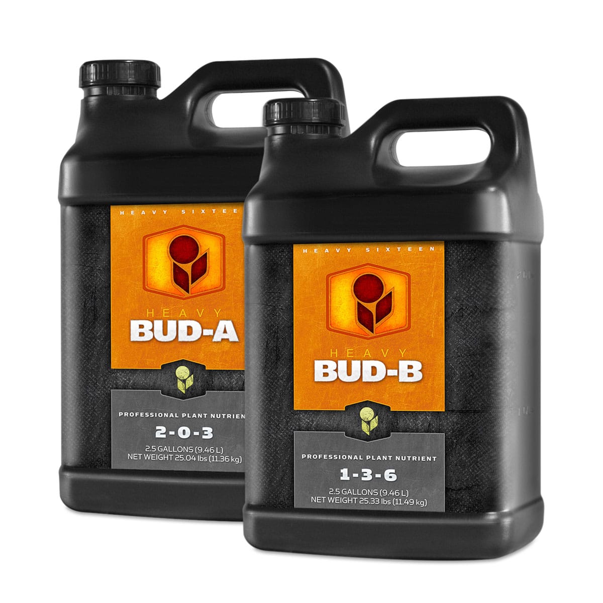 Heavy 16 Bud A B 2.5 Gallon