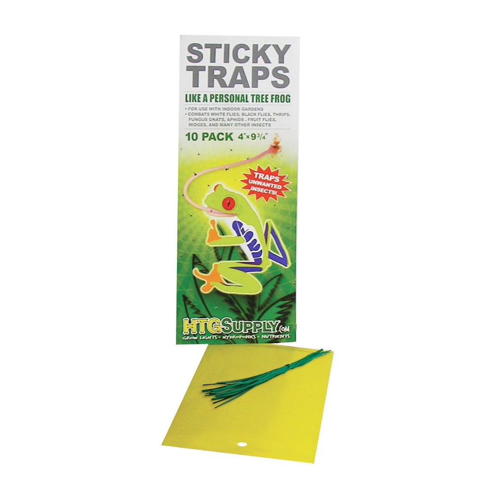 Small Sticky Trap 10pk