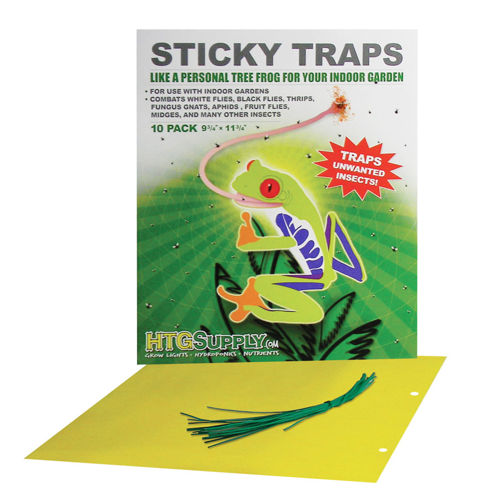 Large Sticky Trap 10pk