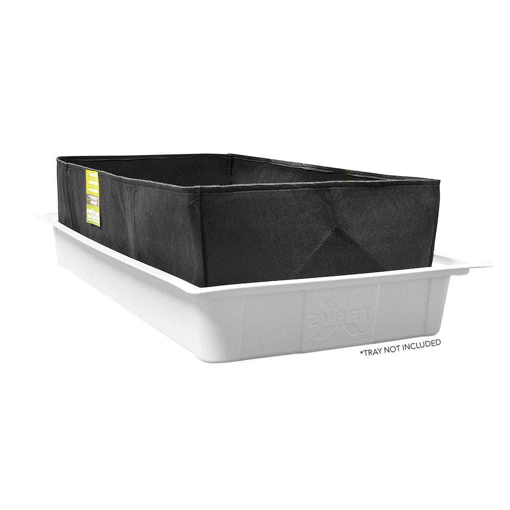 Phat Sacks Tray Liner 2X4 In Tray