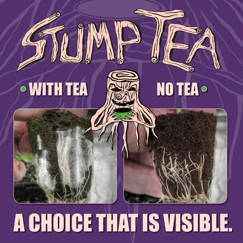 Stump Tea Compare