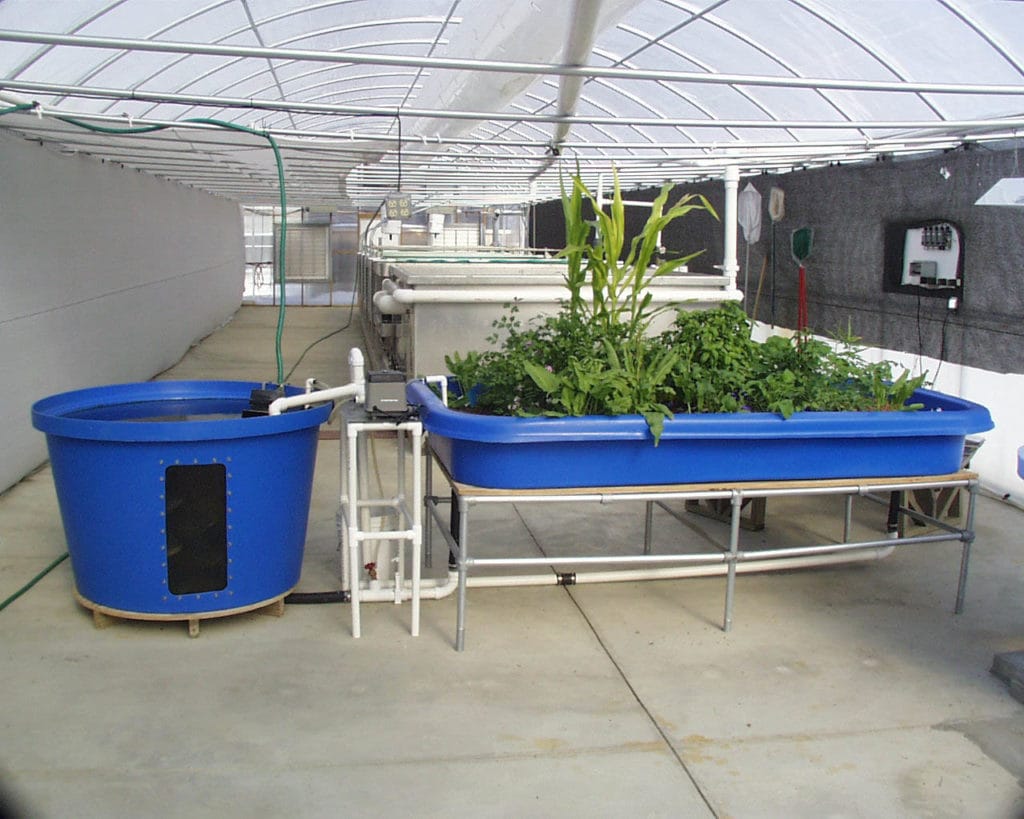 Aquaponics System For Sale