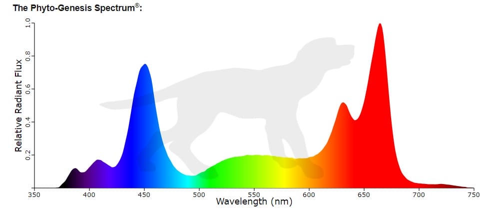 Black Dog Phyto Genesis Spectrum