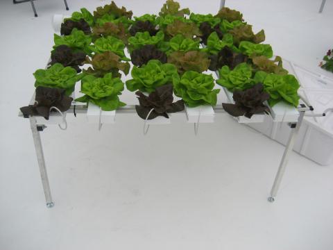 Cropking 4 6 Nft Hydroponic System Front