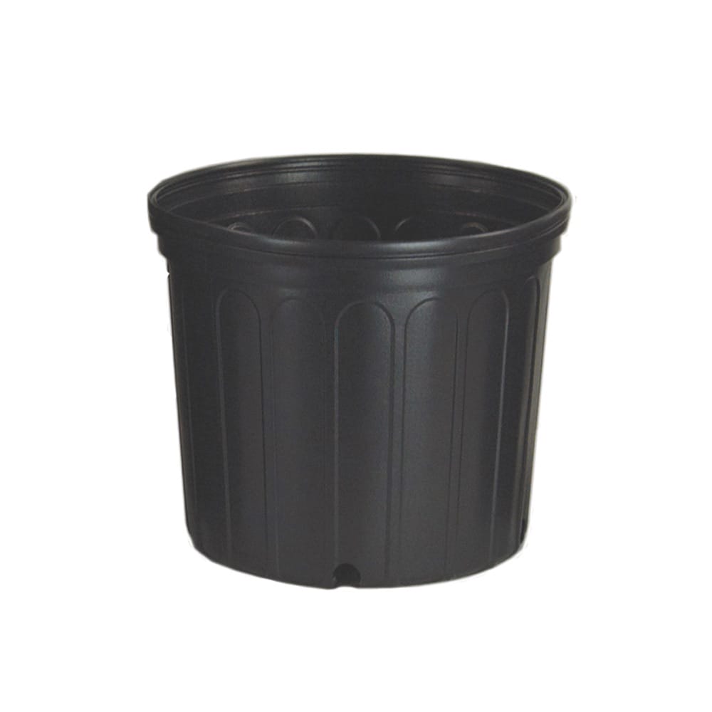 3 Gallon Nursery Pot para sa Pagtatanim3 Gallon Nursery Pot para sa Pagtatanim  