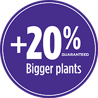 Pro Mix Organic Potting Vegetable And Herb Soil Growth Results