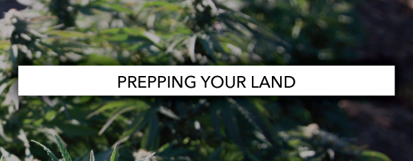Prepping Your Land