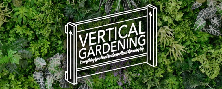 Vertical Gardening - Growing Up in 2020