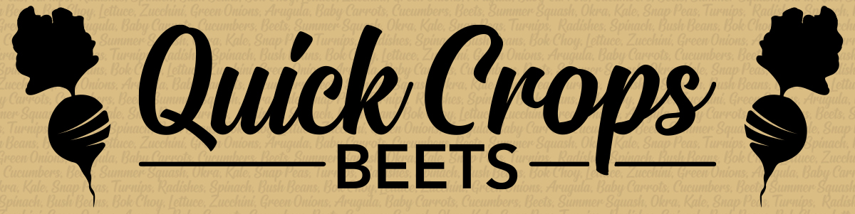 Beets Article Header Quick Crops
