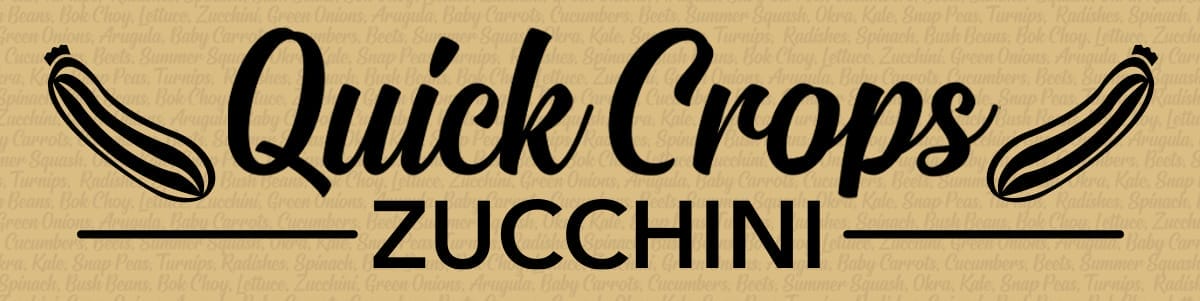 Website Header Quick Crops Article Zucchini