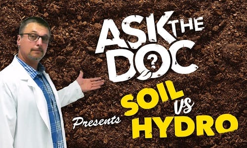 Hydroponics Vs Soil Growing Video