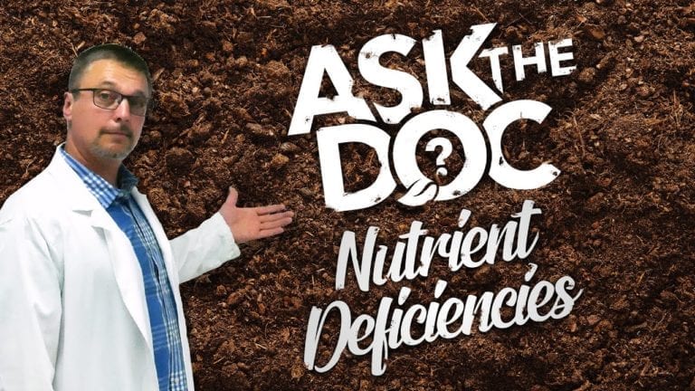 Ask the Doc: Diagnosing Nutrient Deficiencies