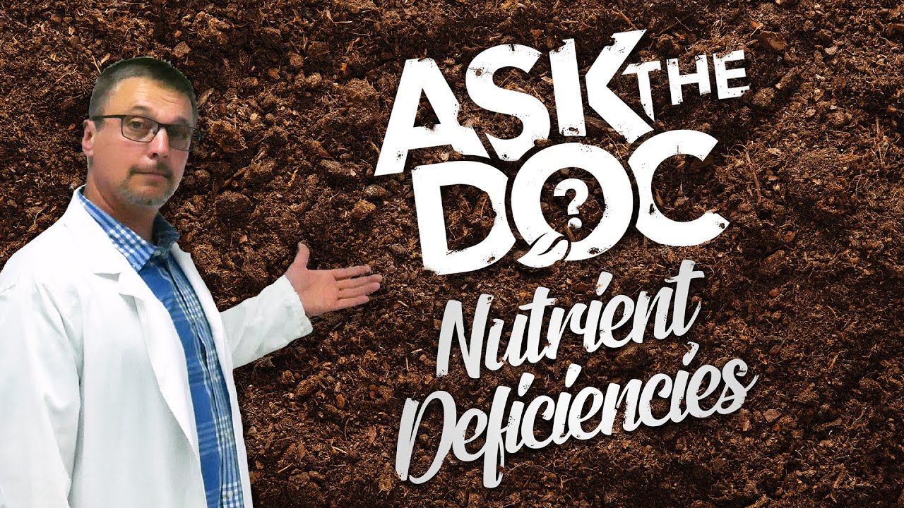 Ask The Doc Diagnosing Nutrient Deficiencies
