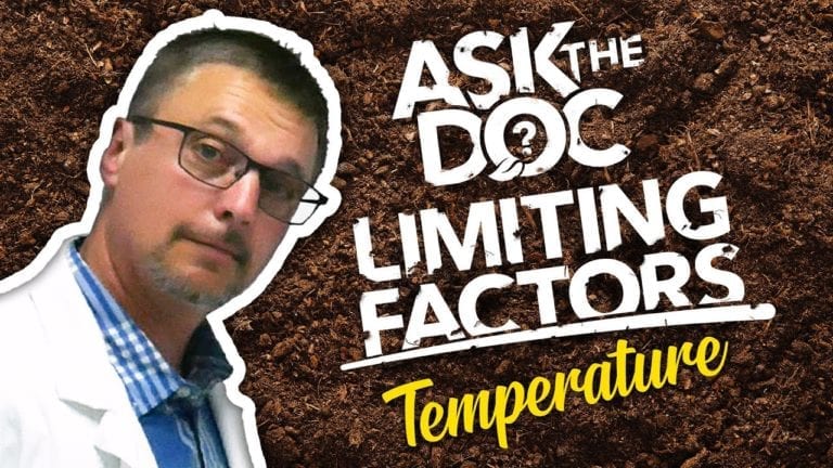 Ask the Doc: How Does Temperature Affect Plant Growth?