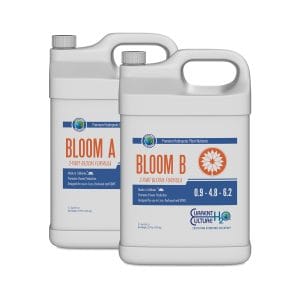 Cultured Solutions Bloom AB 2.5 Gallon