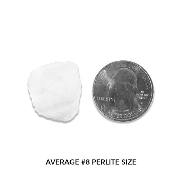 Pahroc Perlite #8 Actual Size