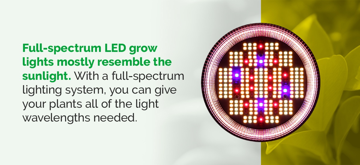 The Importance of Full Spectrum LEDs for Healthy Lighting