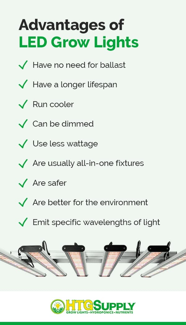 GUIDE TO LED GROW LIGHTS HTG Supply Hydroponics Grow Lights