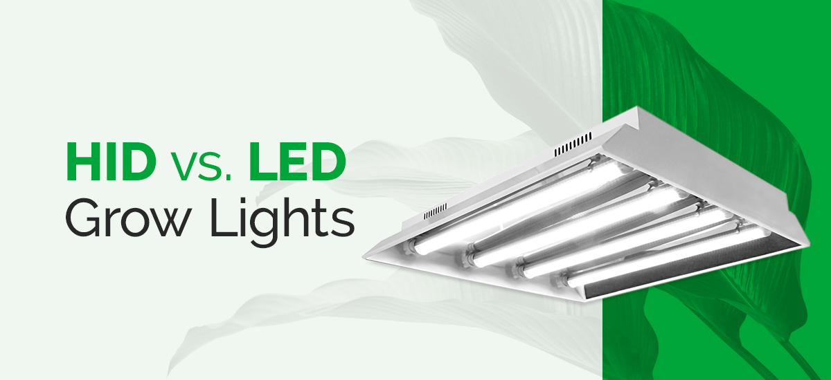 HID vs. LED Grow Lights