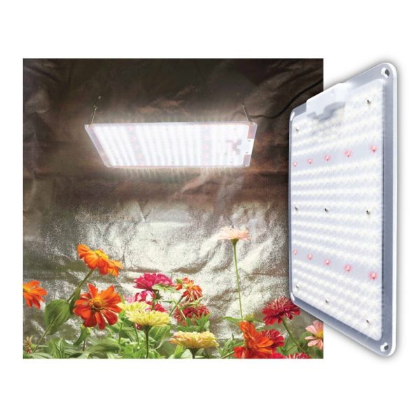 SS-1000 100w LED Grow Light for Indoor Grow Tents