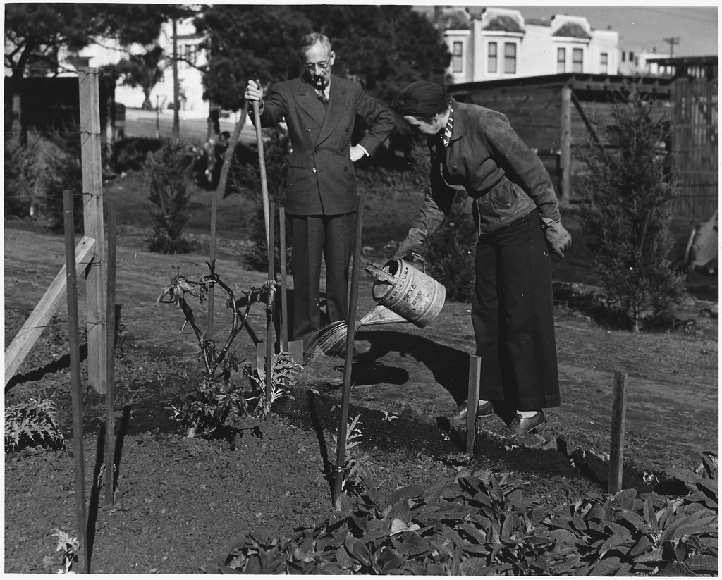 Your Grandmother Gardening