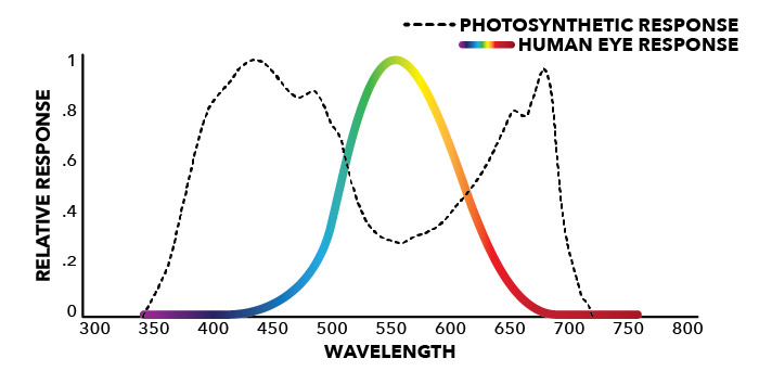 PAR Vs Human Eye Light Sensitivity Graph