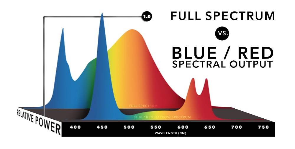 Full Spectrum Chart Comparison