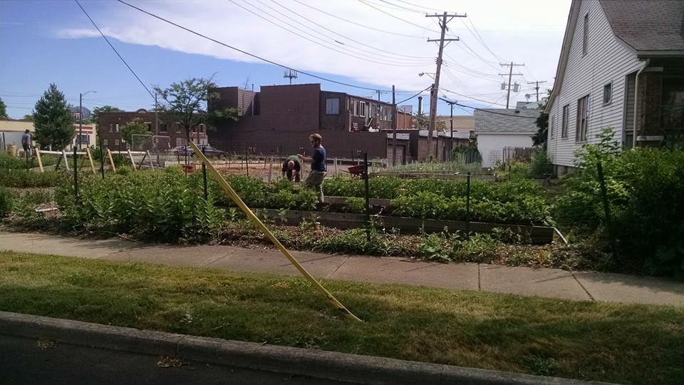 Open Lot for Plants