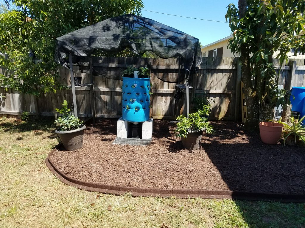 Backyard Urban Garden