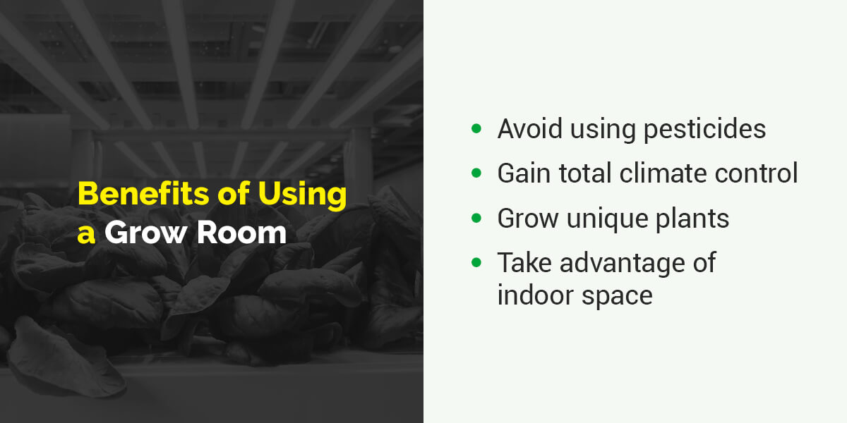 Benefits of Using a Grow Room