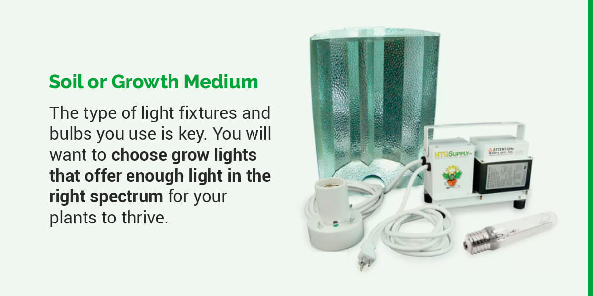 Light Fixtures and Bulbs