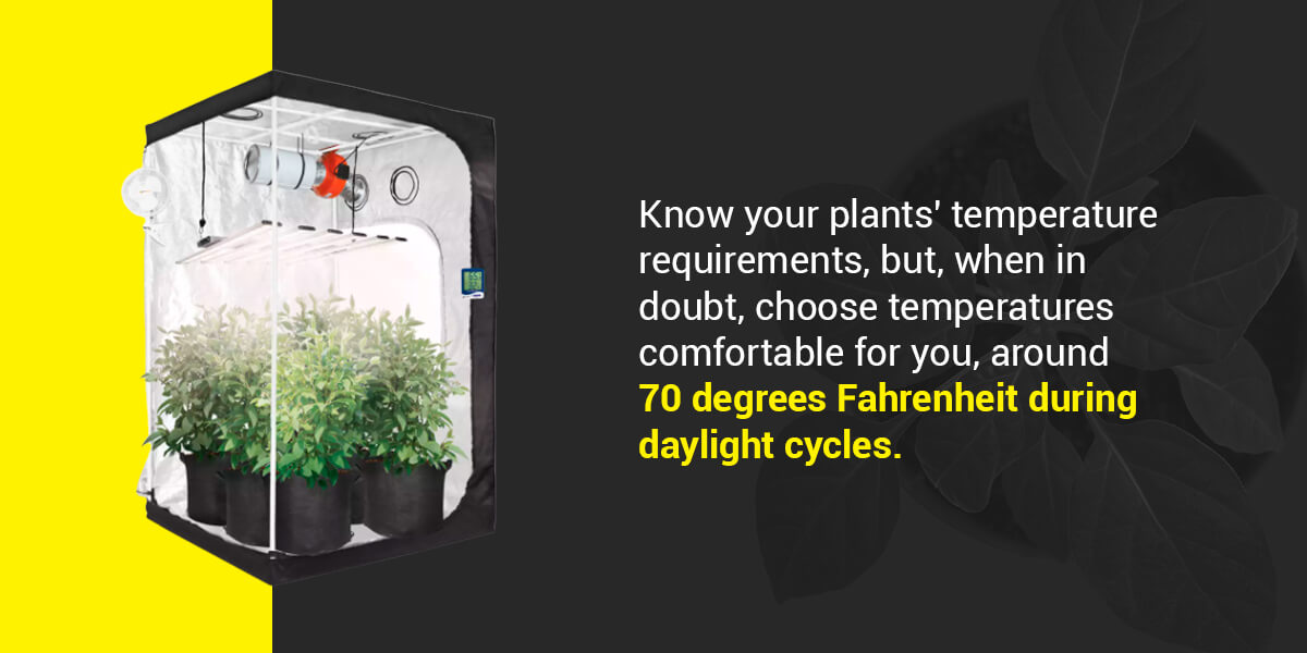 What Temperature Should I Keep My Grow Room At